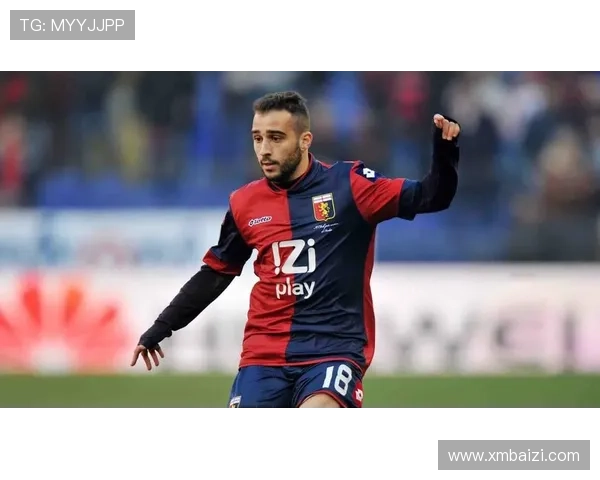 聚焦法国尼斯俱乐部探寻球队历史底蕴与现代足球发展之路 聚焦法国尼斯俱乐部探寻球队历史底蕴与现代足球发展之路